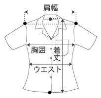 An䂵_fB[XTCY